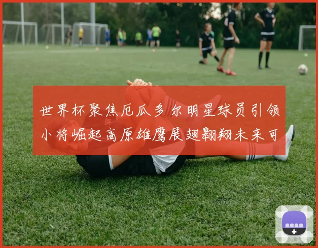 世界杯聚焦厄瓜多尔明星球员引领小将崛起高原雄鹰展翅翱翔未来可期