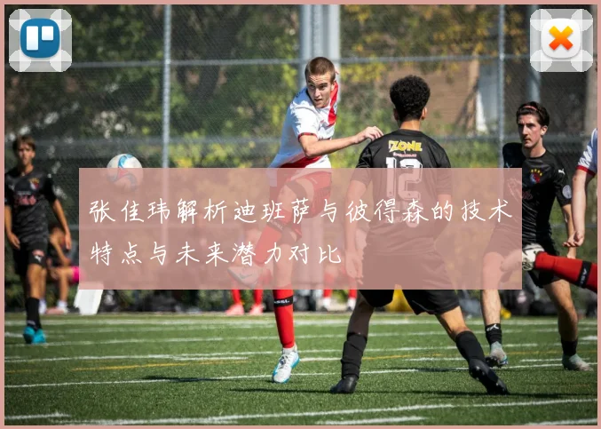 张佳玮解析迪班萨与彼得森的技术特点与未来潜力对比